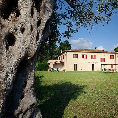 Castello Di * Bolgheri
